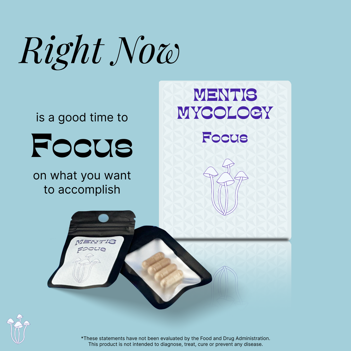 FOCUS Capsules | Nootropic Mushroom Supplement