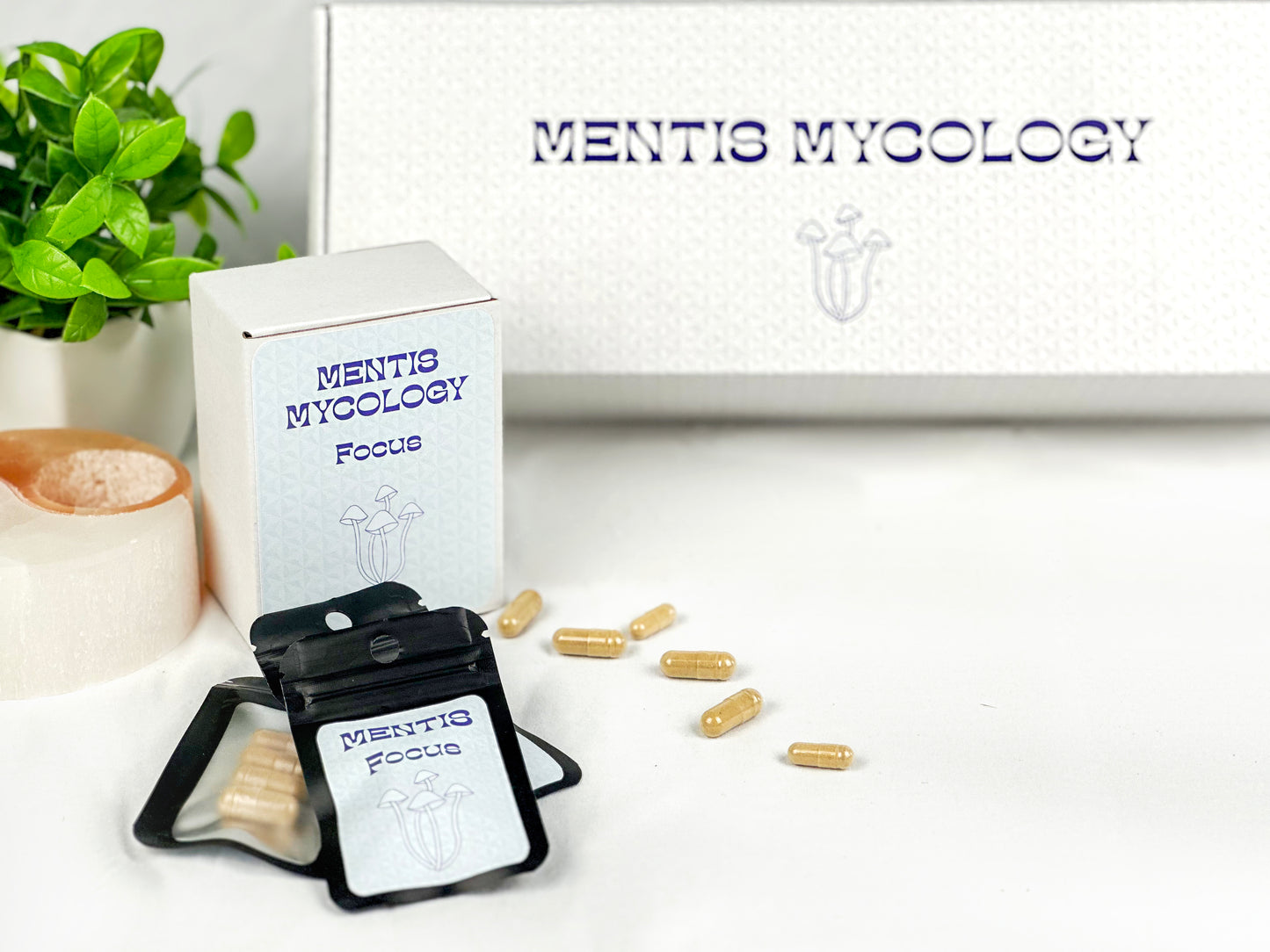 FOCUS Capsules | Nootropic Mushroom Supplement