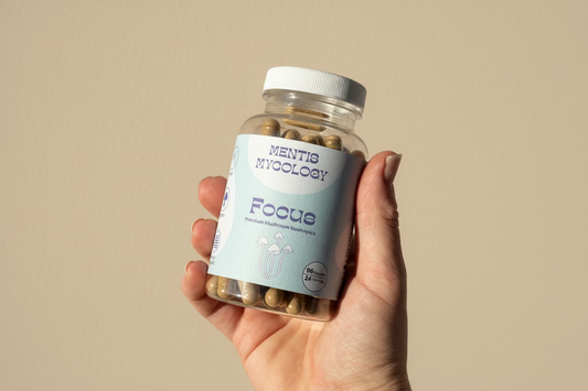 Focus Capsules | Nootropic Mushroom Supplement