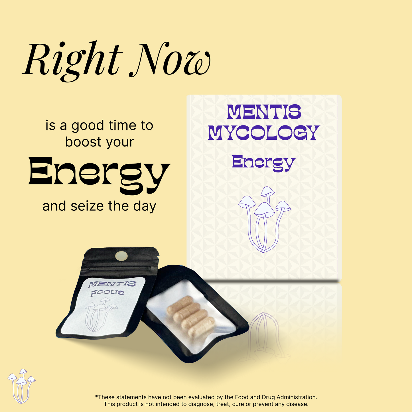 ENERGY Capsules | Nootropic Mushroom Supplement